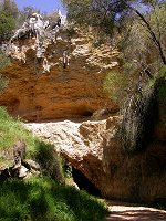 Stockyard Gully Cave - outside the upstream entrance
