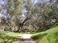 Between Stockyard Gully Cave and Stockyard Cave