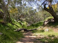 Between Stockyard Gully Cave and Stockyard Cave