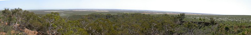 Panoramic view of Eneabba plains (you may need to click on the photo in the separate window as well)