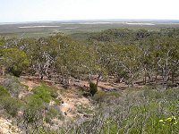 View of Eneabba plains from a 'breakaway'