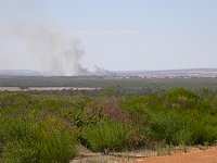 A dry Lake Logue & the fire east of Eneabba