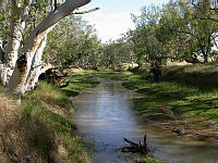 Irwin River, 7 km south-east of Dongara