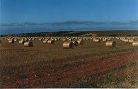 Bales of hay near Walkaway, 20 km south of Geraldton