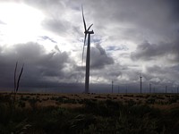 wind farm on the way to Pinnacles