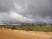 wind farm on the way to Pinnacles