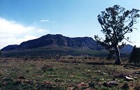 Wilpena Pound from the East