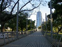 walk from Birrarung Marr Park to the city