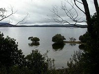 Platypus Bay - view to the east