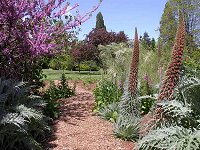Hobart Botanical Gardens